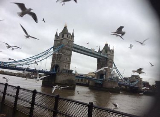 Tower Bridge; foto: web školy